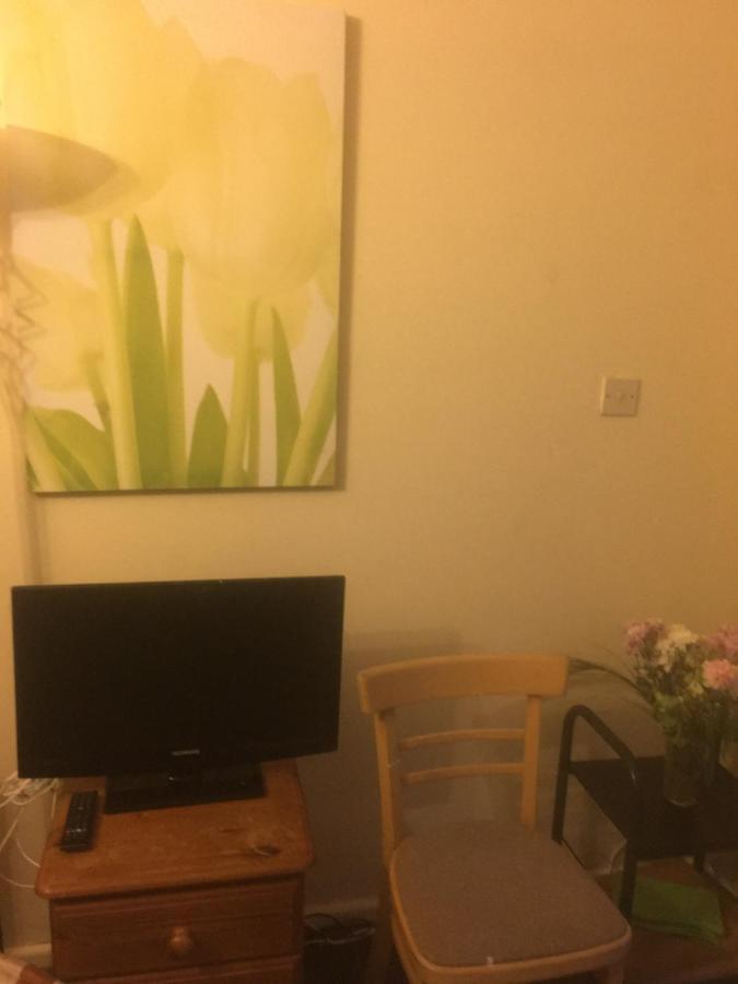 Woodland Views Central Heated Cabin Dartmouth Extérieur photo